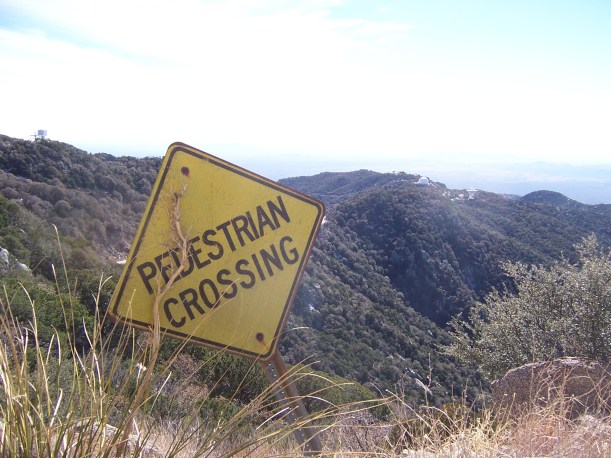 When I took this I though there was some kind of irony or artistic value in this photo. In retrospect, it is obviously meaningless.